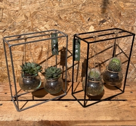 Hanging Pot Duo